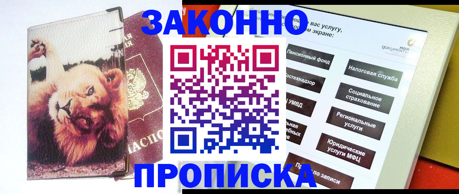 прописка штамп в Лузе